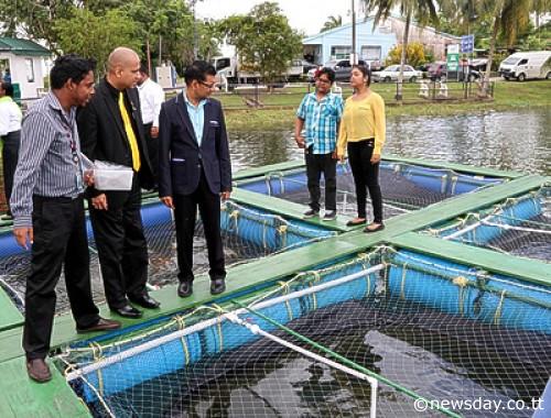 Fish inspection: Food Production Minister Devant Maharaj, third from left, CEPE chairman Adesh Deonarine, second from left, and officials inspect a floating tilapia raft cage system in Ste Madeleine yesterday.  Author: ANSEL JEBODH